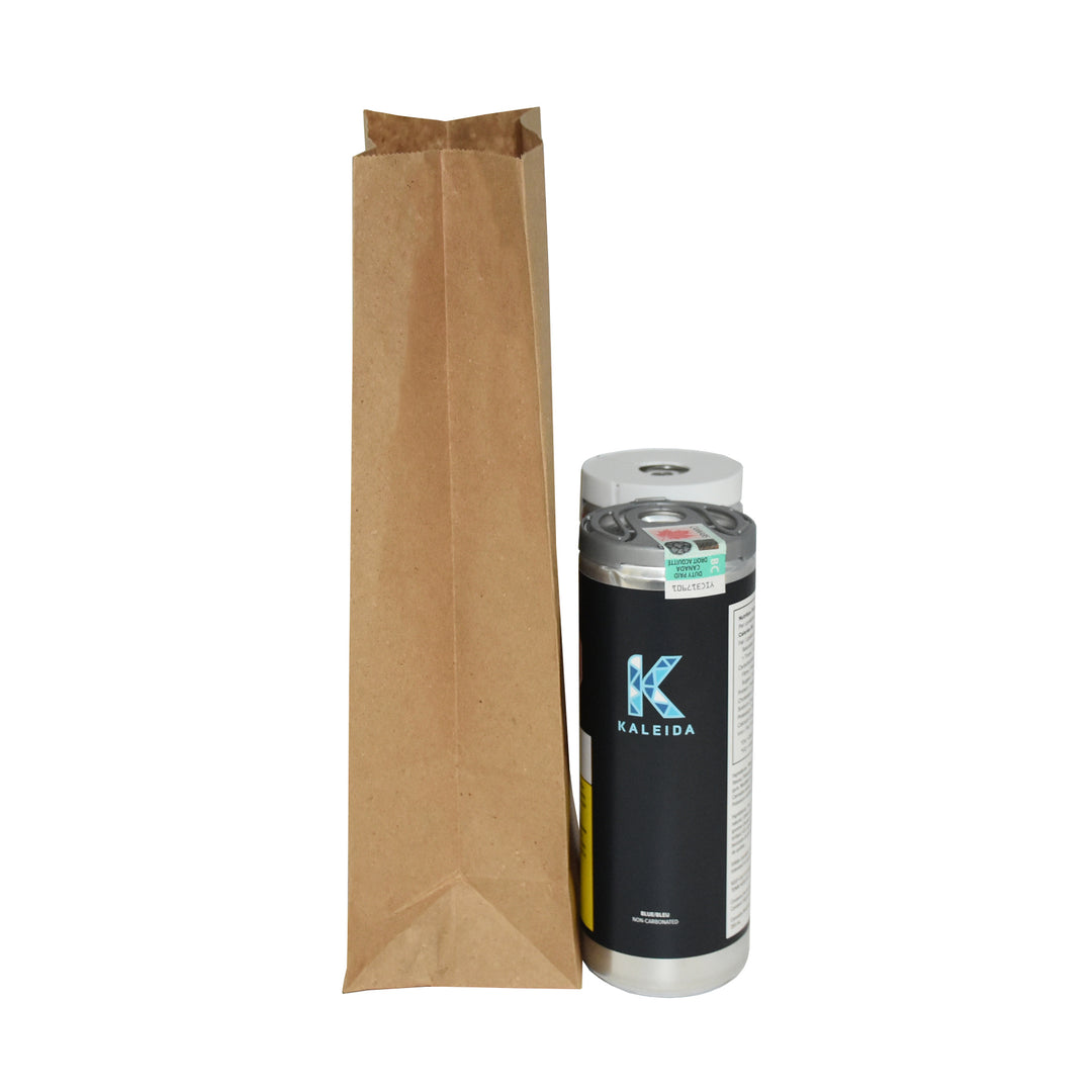 Kraft Paper Bags - image 13