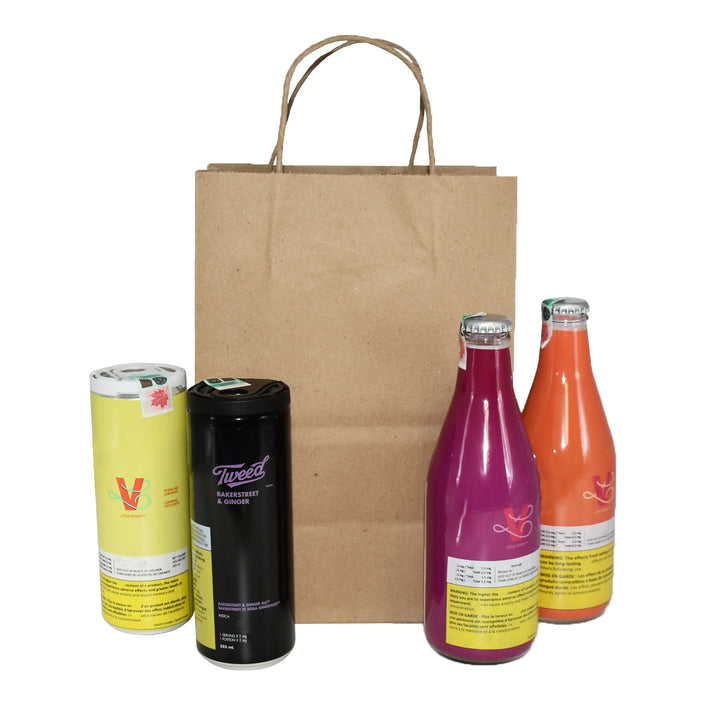 10" x 5" x 13" Kraft Paper Shopping Bags w Twisted Handles (250/Case)