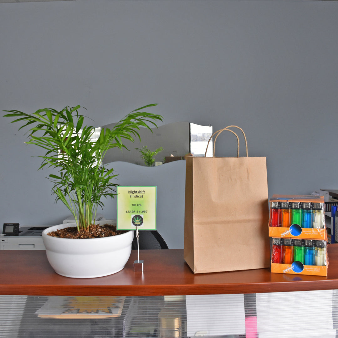 7.5" x 4.75" x 10.5" Kraft Paper Shopping Bag w Twisted Handles 250/Case