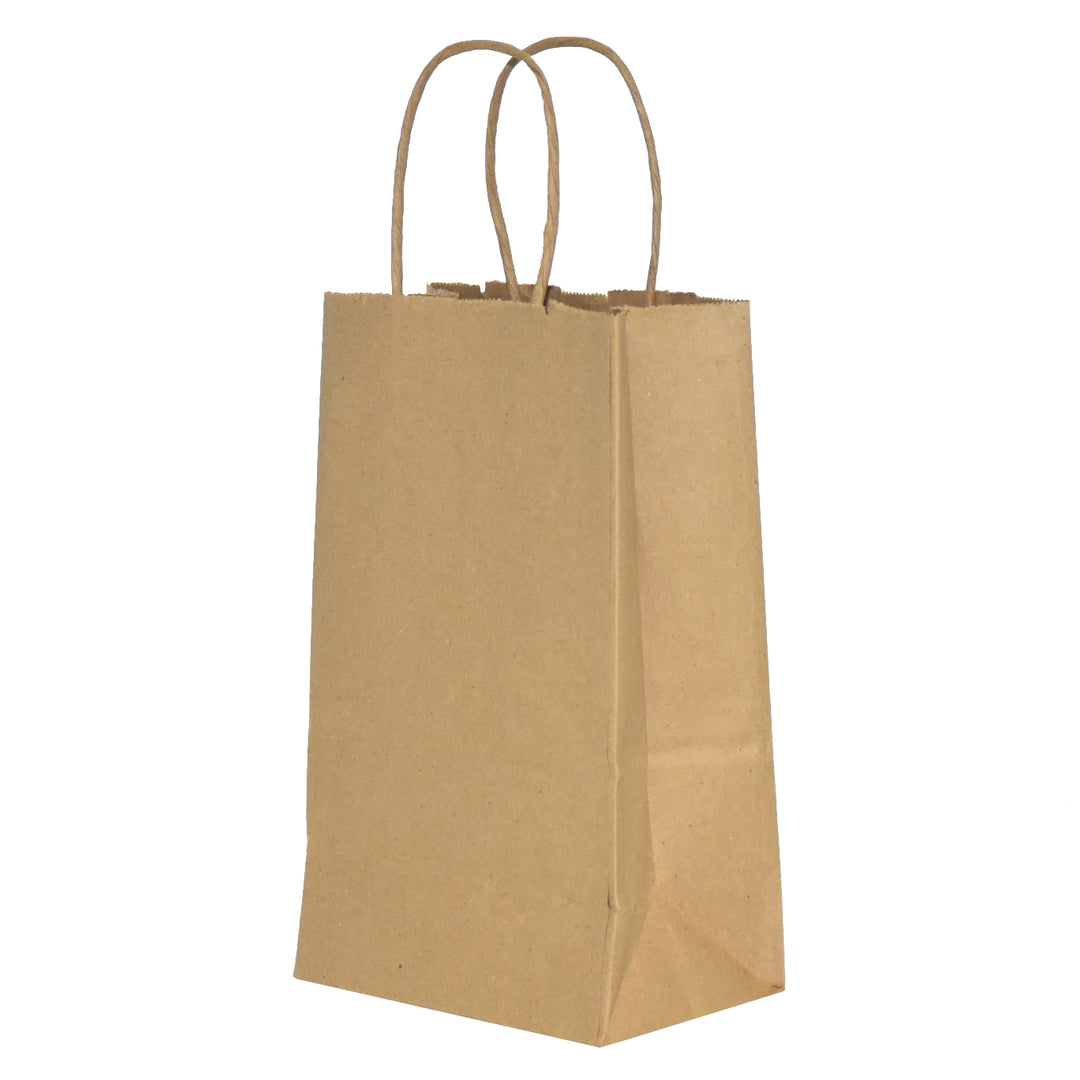 Kraft Paper Shopping Bags with Twisted Handles - image 14