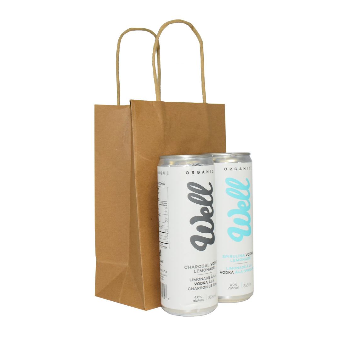 Kraft Paper Shopping Bags with Twisted Handles - image 4