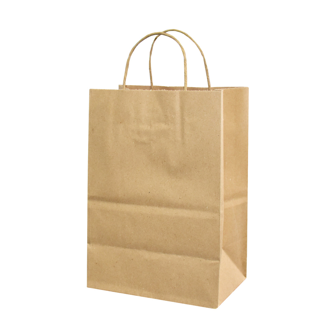 Kraft Paper Shopping Bags with Twisted Handles - image 5