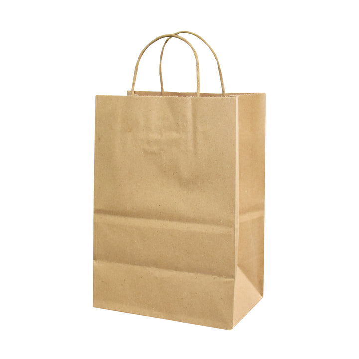Kraft Paper Shopping Bags with Twisted Handles - image 5