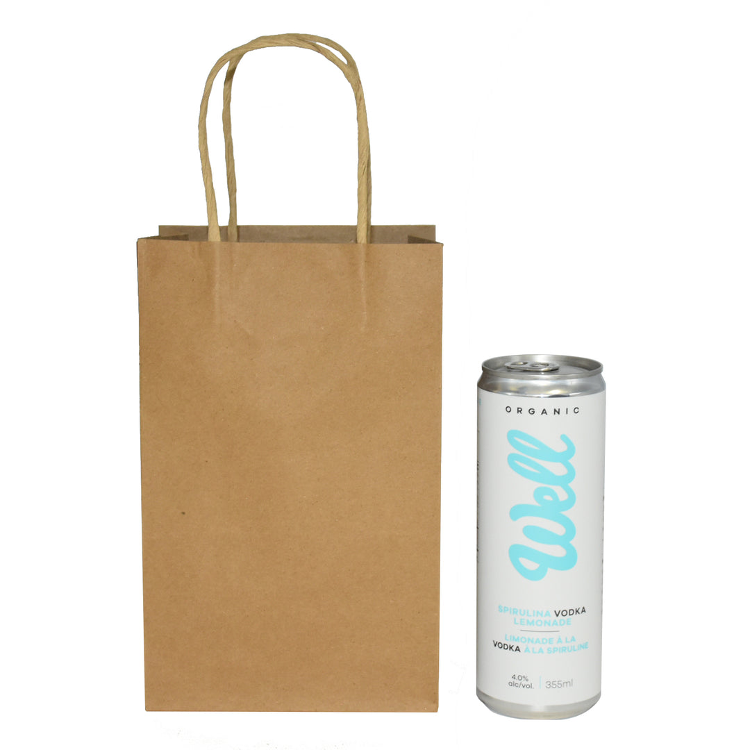 Kraft Paper Shopping Bags with Twisted Handles - image 7