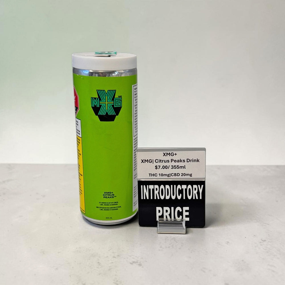 Introductory Price Reusable Promo Tags - B71-211 - image 2