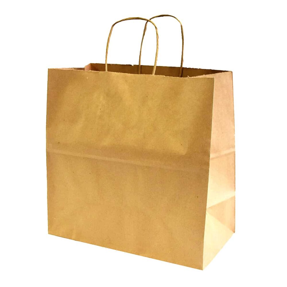 Paper Shopping Bags with Twisted Handles    Kraft  Case paper bags B